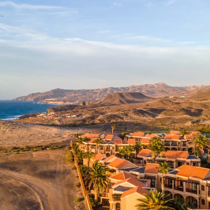 1742376508_4020.thigh